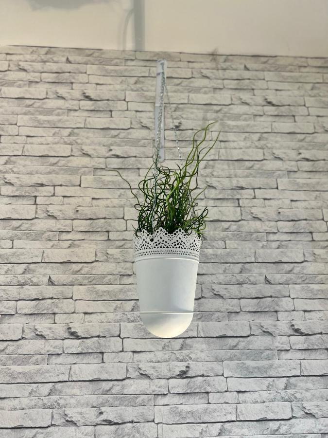 Le Clos Chassaing N1 - Wifi - Centre Ville-Property Rental Nm Périgueux المظهر الخارجي الصورة
